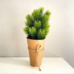 Cute fake plant! West Elm cactus, decorative plant